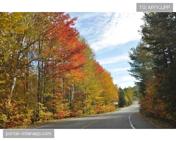 “校园车轮计划”在加拿大魁北克省启动，旨在推广青少年山地车安全教育